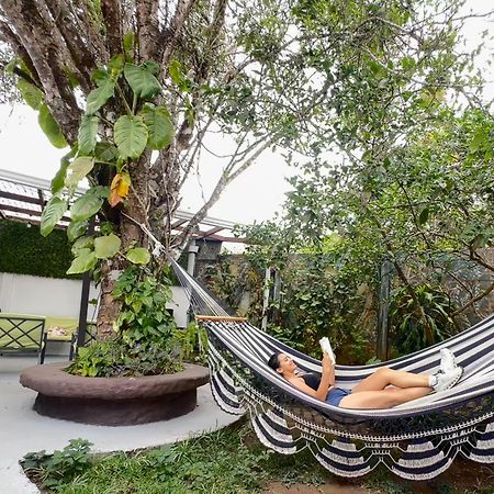 Montefresco Boutique Hostel Monteverde Eksteriør bilde
